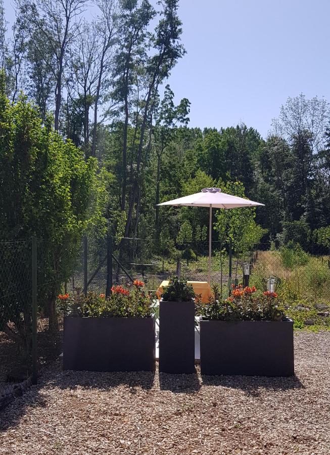 Agreable Petite Maison Proche Joigny Chamvres Eksteriør bilde